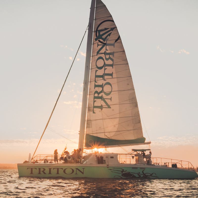 harbor cruise in san diego